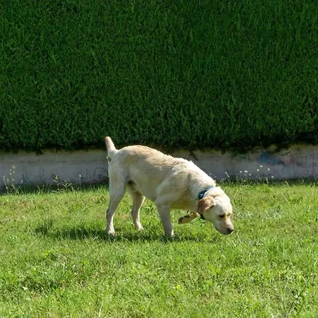 House In With Balcony, Air Conditioning, Wifi, Washing Machine * Porec