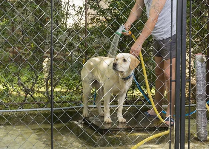 Tatil Evi House In With Balcony, Air Conditioning, Wifi, Washing Machine