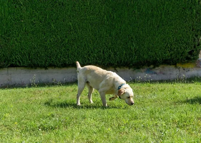 House In With Balcony, Air Conditioning, Wifi, Washing Machine * Poreč